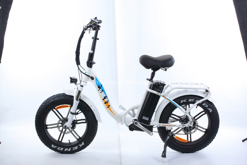 2023 New Design Lady Frame Women Electric Bike E-Bike Fat Tire Electric Bicycle Factory
