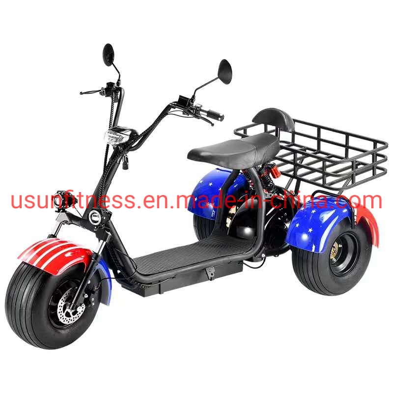 Farmer&prime; S Car Garden Cart Farmer&prime; S Tricycle Cargo Fat Tire Electric Scooter Motorcycle Bike Electric Tricycle Cargo Farmer&prime; S Car with CE