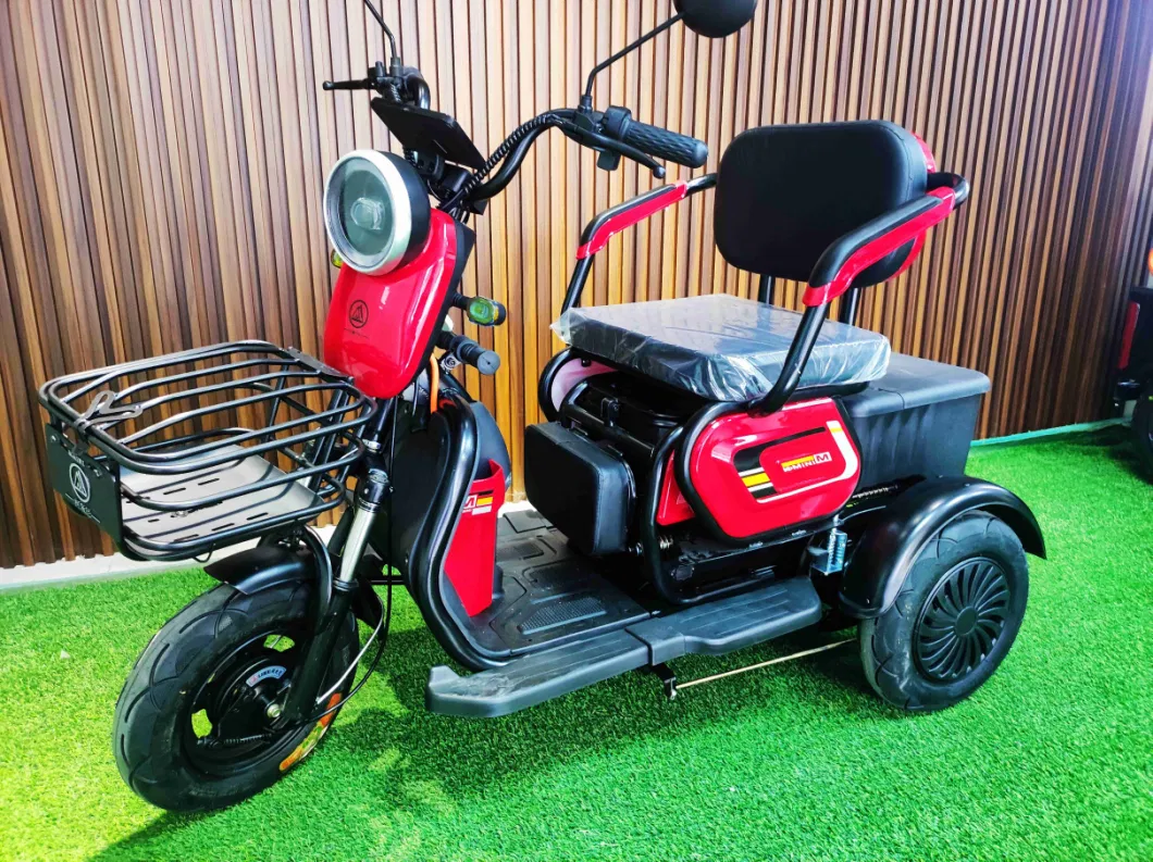 New China Factory Cool Leisure Tricycle with Electric Tricycle with Recreational Motorcycle
