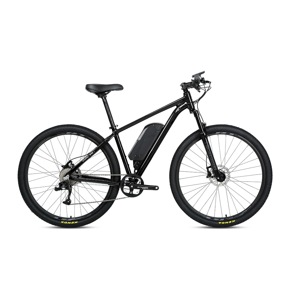 Galaxy 36V 350W Electric Mountain Bicycle Chinese Delivery Electric Bike