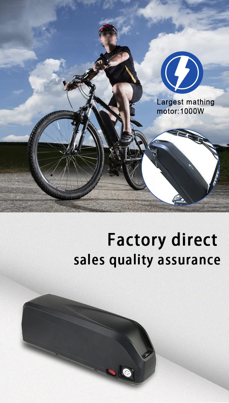 600W 1000W Electric Bicycle 36V 25ah 48V 20ah Kit Hailong Battery with 2A Charger