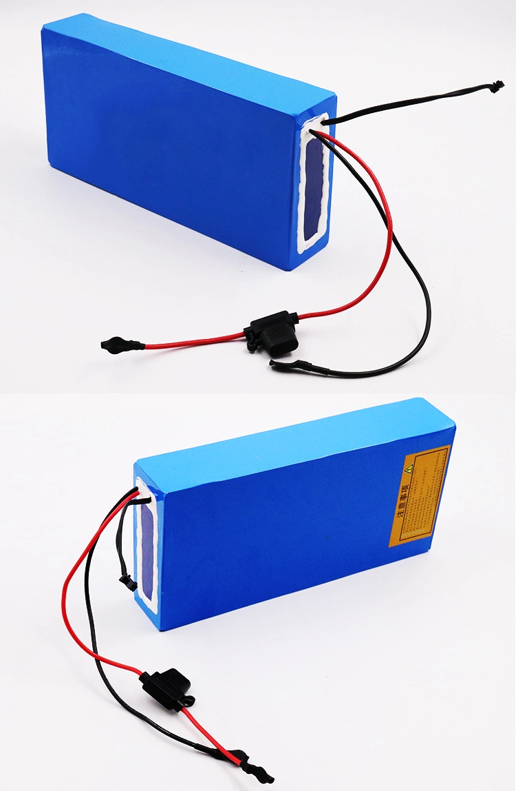 Lithium Ion Battery 36V 20ah Silver Fish Electric Bicycle Bike Battery with BMS