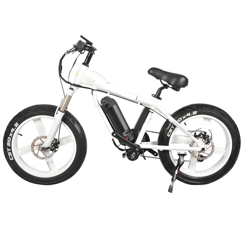 New Design Electric Ebike 29 Inch Aluminum Mountain Ebike with MID-Drive Motor Ebike