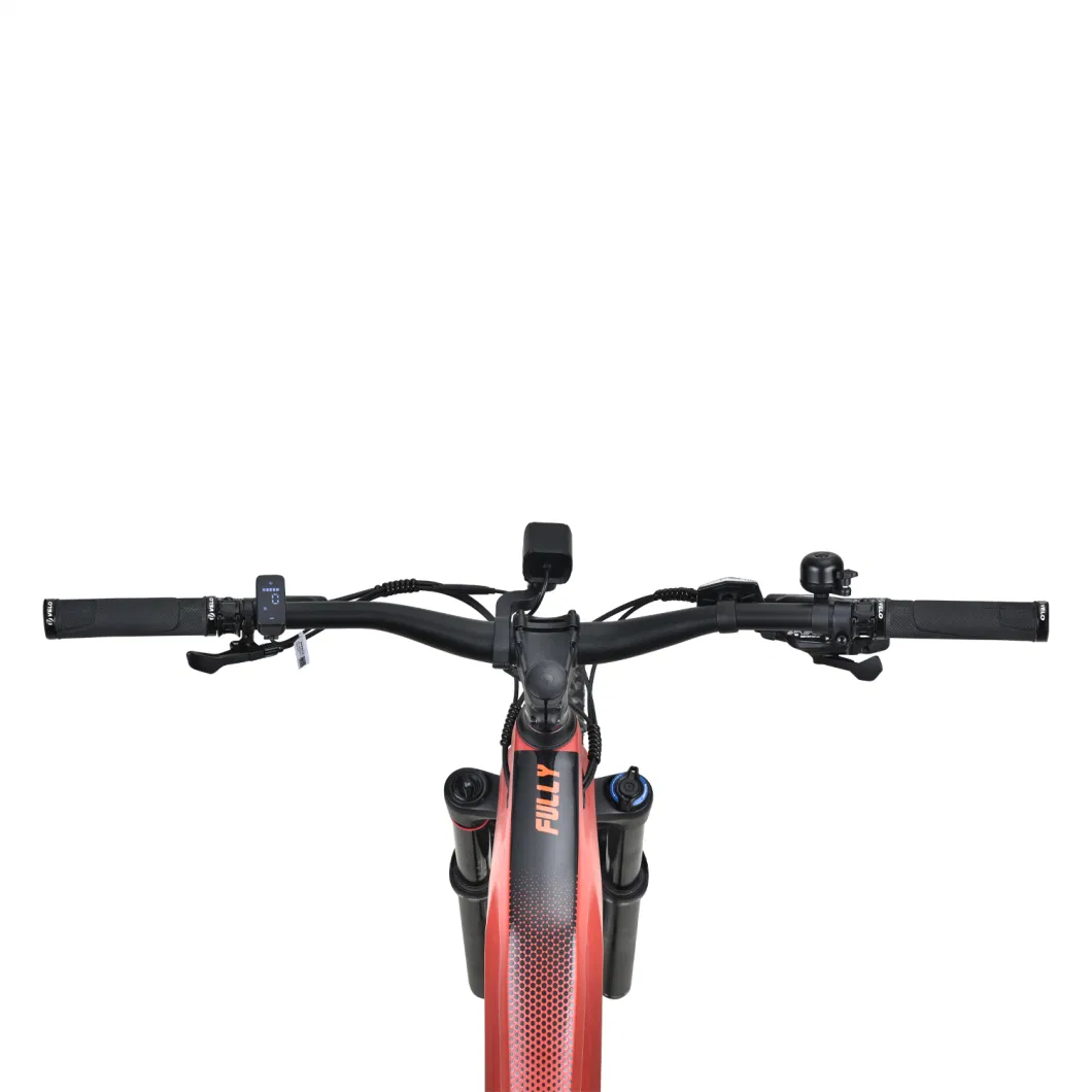 11 Speeds Electric Mountain Bike with Carbon Frame by China Manufacture