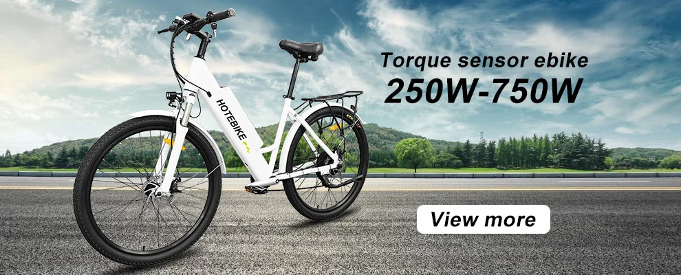 48V 500W 750W 3 Wheel Cargo Ebike Fat Tire Rear Wheel Hub Motor Electric Tricycle