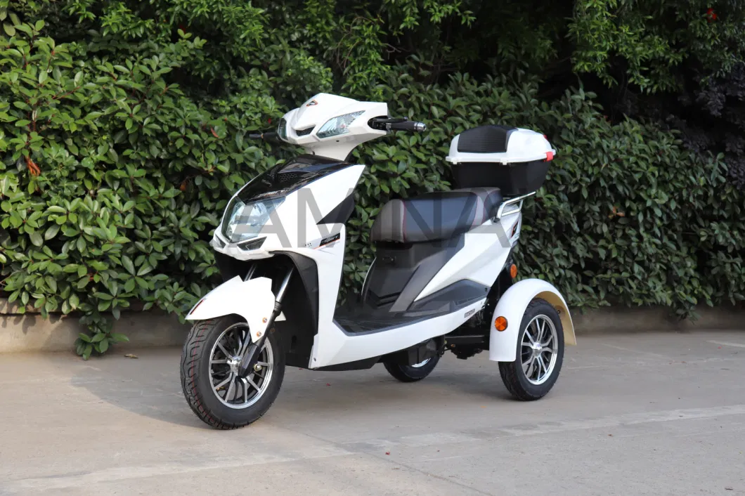 Cargo 3wheels Vehicle Electric Motorcycle Three Wheels Electric Scooter for Passanger SL