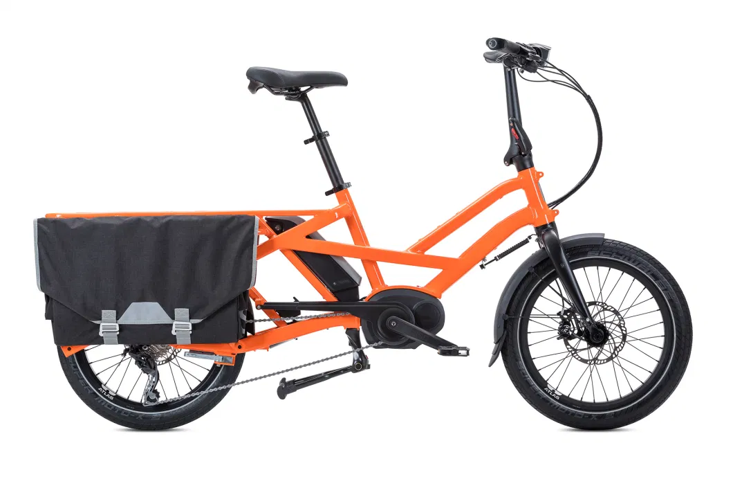 Electric Trike Cargo Electric Cargo Bike /Used Bicycles for Sale in Dutch