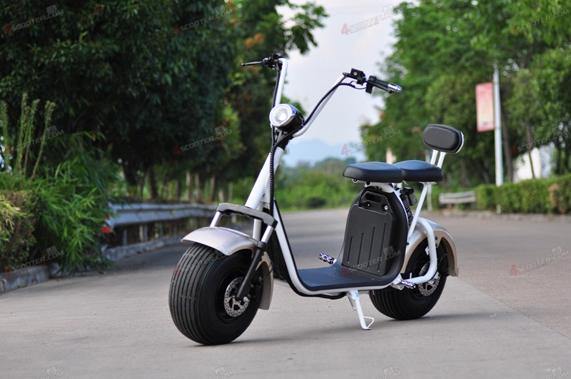 Powerful High Speed Practical Delivery 2 Wheel Bicycle Citycoco Moped Electric Scooter