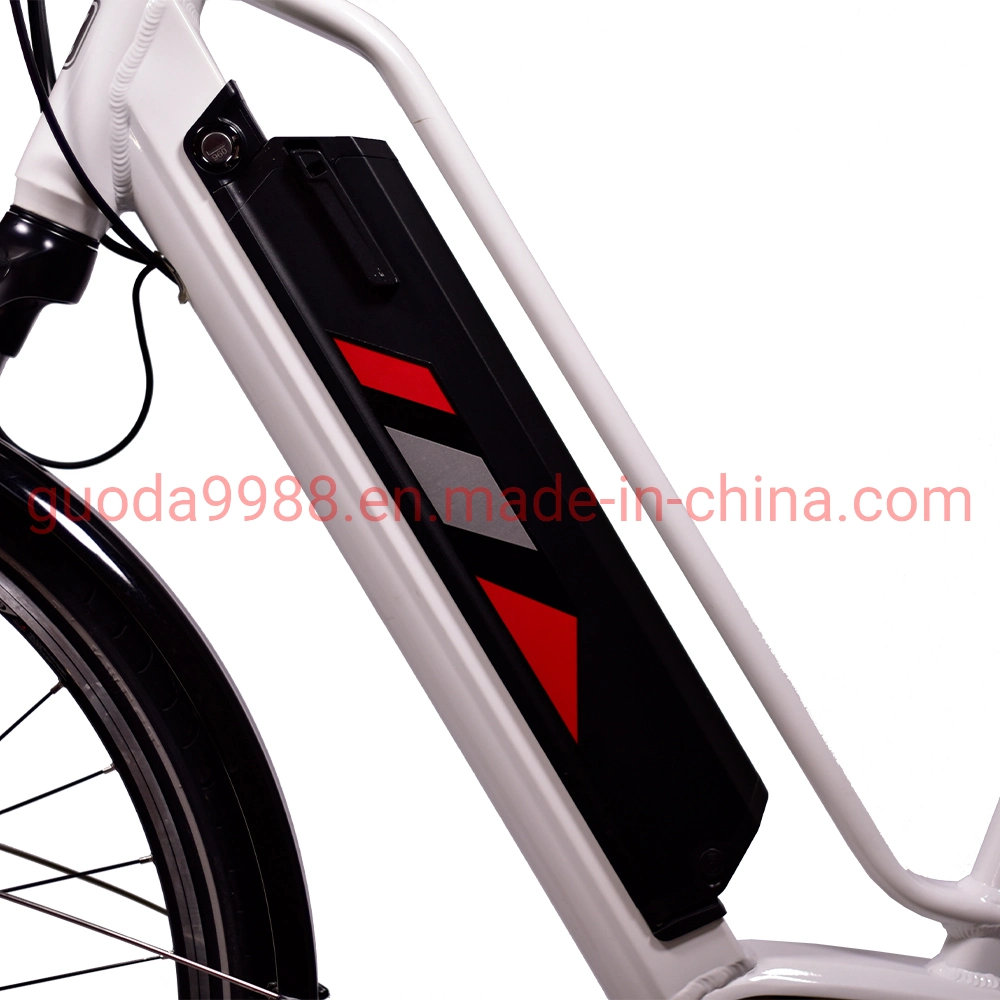 Electric Bike MID Motor E Bicycle Drive Electric City Bike