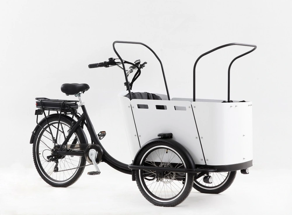 Chinese Three Wheel E Bakfiets Tricycle Electric Cargo Bike in Bicycle with Rain Cover for Sale