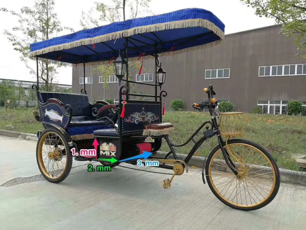 Three Wheel Motorized Tricycles Electric Rickshaw Pedicab