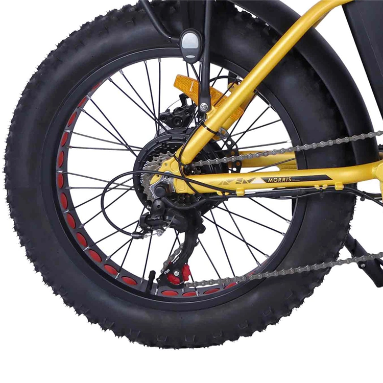 Joykie OEM Fatbike 6 Speed 250W E-Bike Fat Tire Electric Folding Bike
