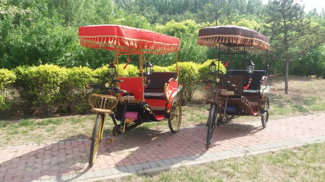 Three Wheel Motorized Tricycles Electric Rickshaw Pedicab