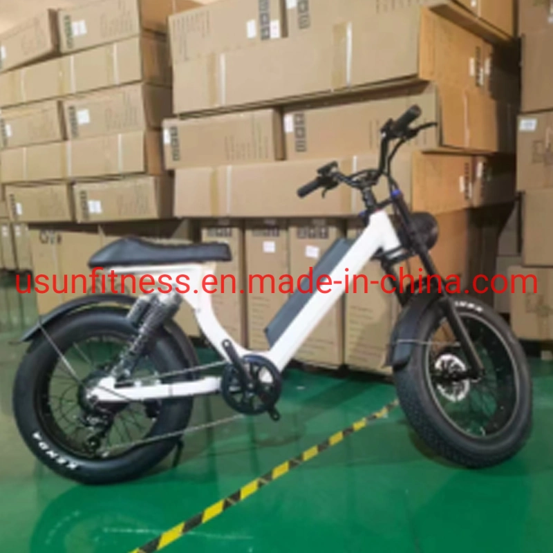 Wholesale Aluminum Alloy Fat Tire Electric Bike Electric Bicycle Mountain Electric Bike with Lithium Battery