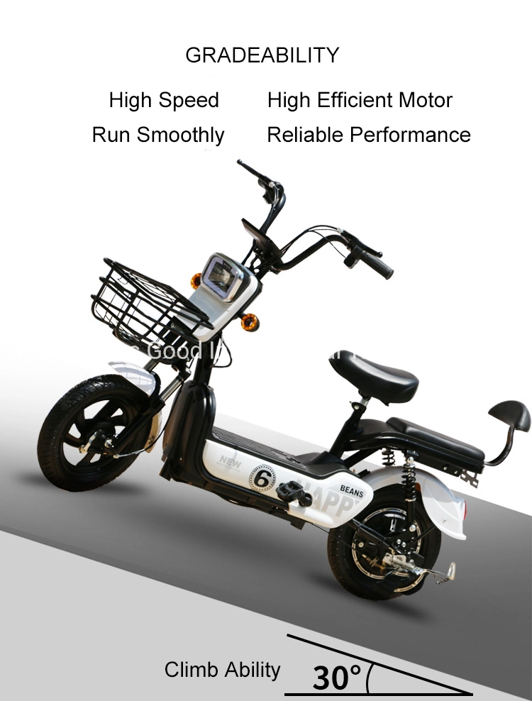2023 New Cheap 48V Electric Bicycle Electric Bike for Sale