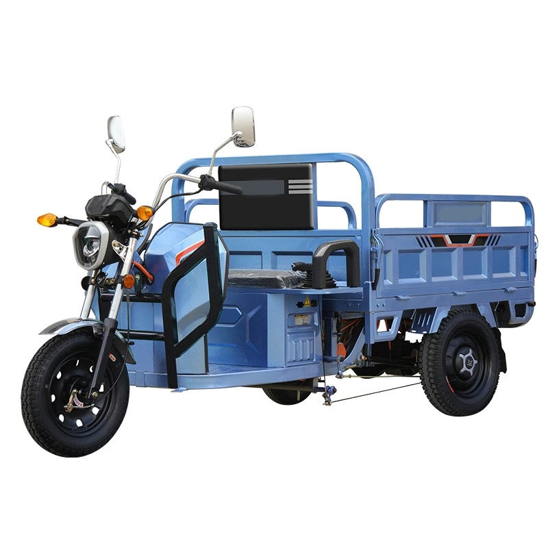 Cargo Tricycle Manufacturer Customization Electric Bike with Cabin for Cargo with Big Cargo Box