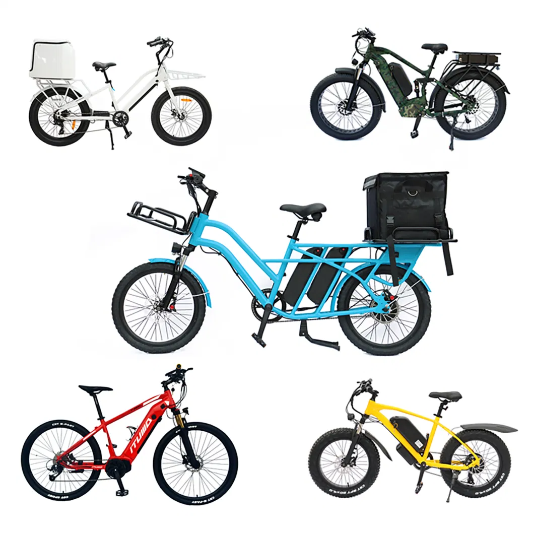 Electric Bike/Emtb/Electric Scooter/Electric Motorcycle/Ebike/Electric Bicycle/Moped