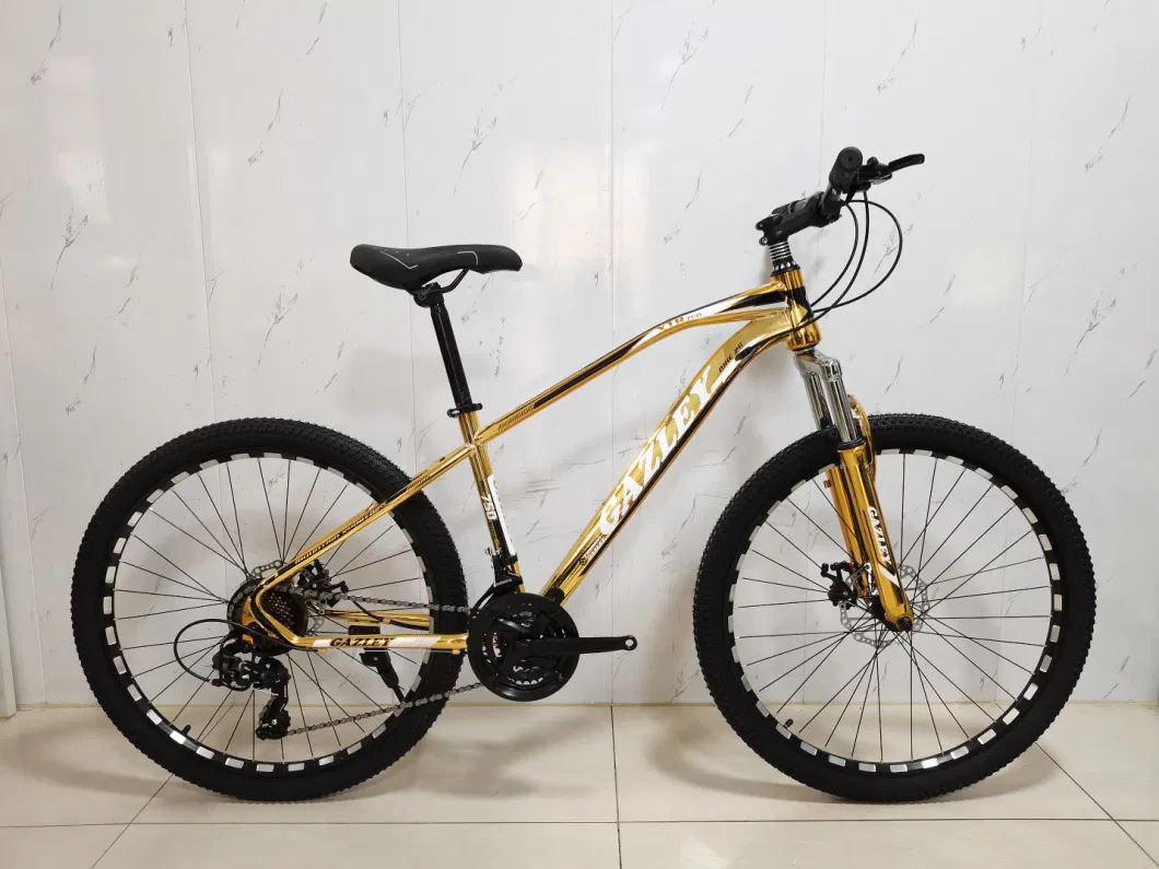 Brand New 2021 Mountain Bicycle E Bike MTB Bike Ready to Ship From Bicycle Supplier