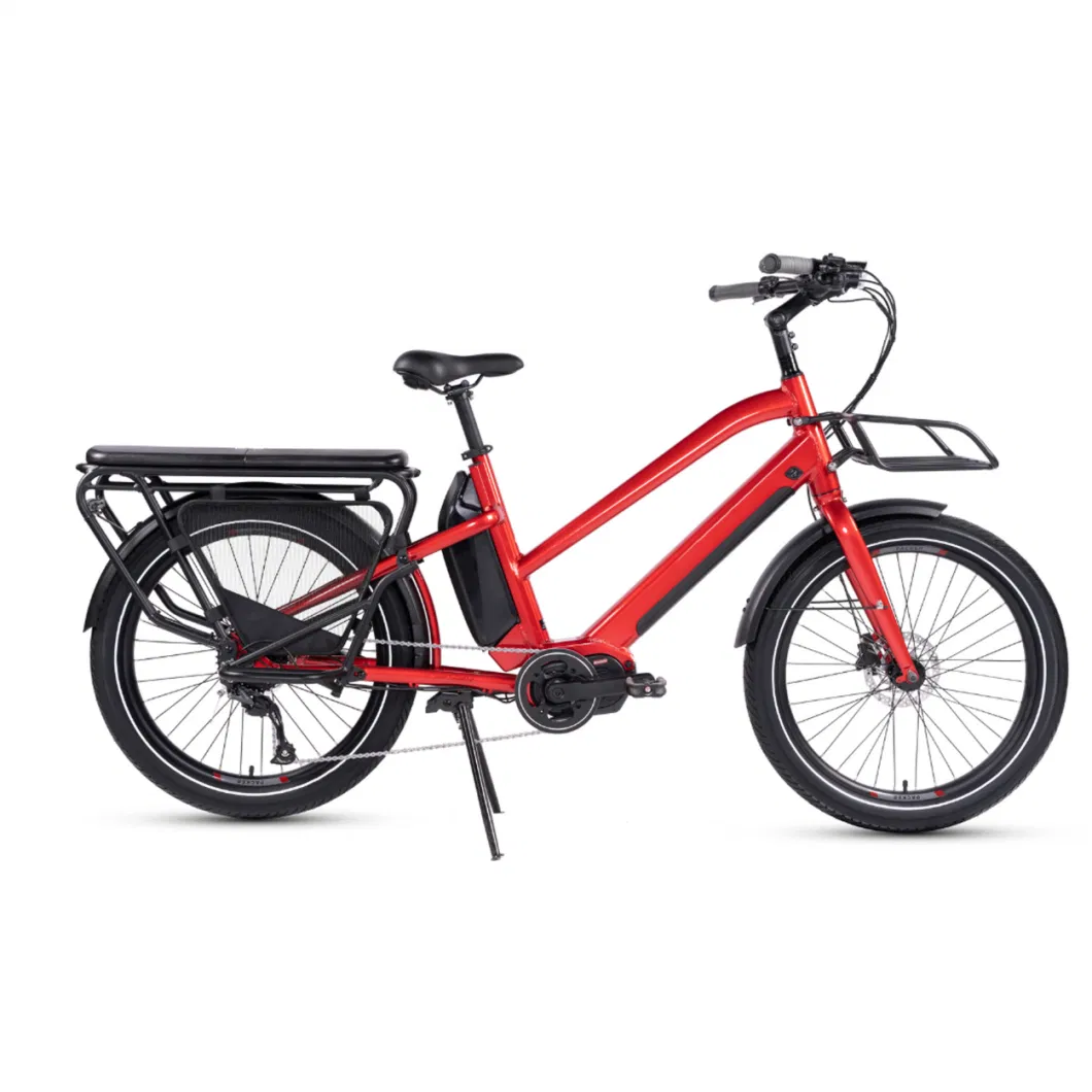 24&quot; 750W Electric Cargo Bike Used for Adult