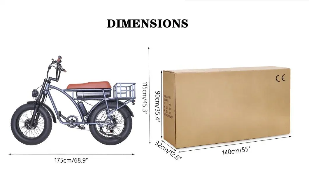 Hot Sale Electric Bicycle 1000W High Speed High Power Electric Motorcycle with Cheaper Price