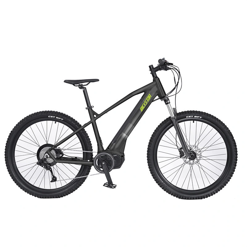 2023 New Electric Mountain Bicycle 26 Inch Electric Bike 29 Inch Ebike 29er Electric Mountain Bike