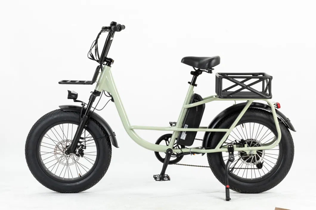 Galaxy E Bikes 2023 Electric Bicycle 750W Rear Drive Cargo Ebike