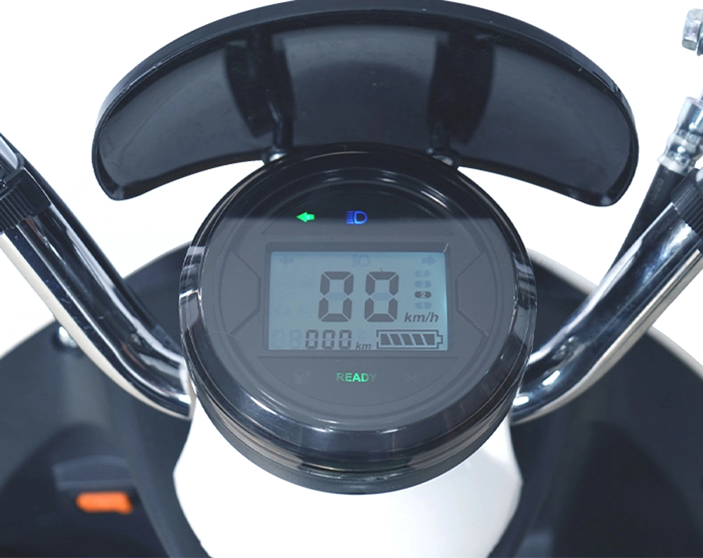 Electric Motorbike/650W Powerful E-Motorbike/10 Inch Tire/Lead Acid Battery Bike