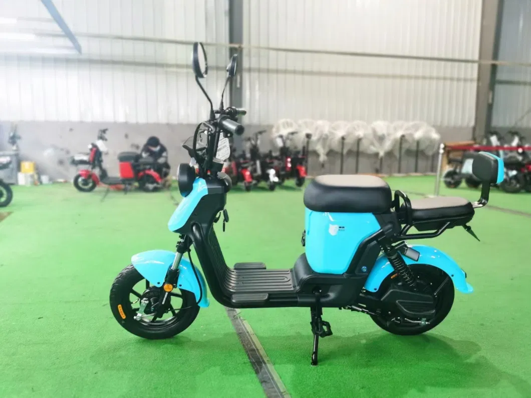 High Quality Electric Bicycle 350W Motor 4-8h Recharging Time Best Ebike for Adults