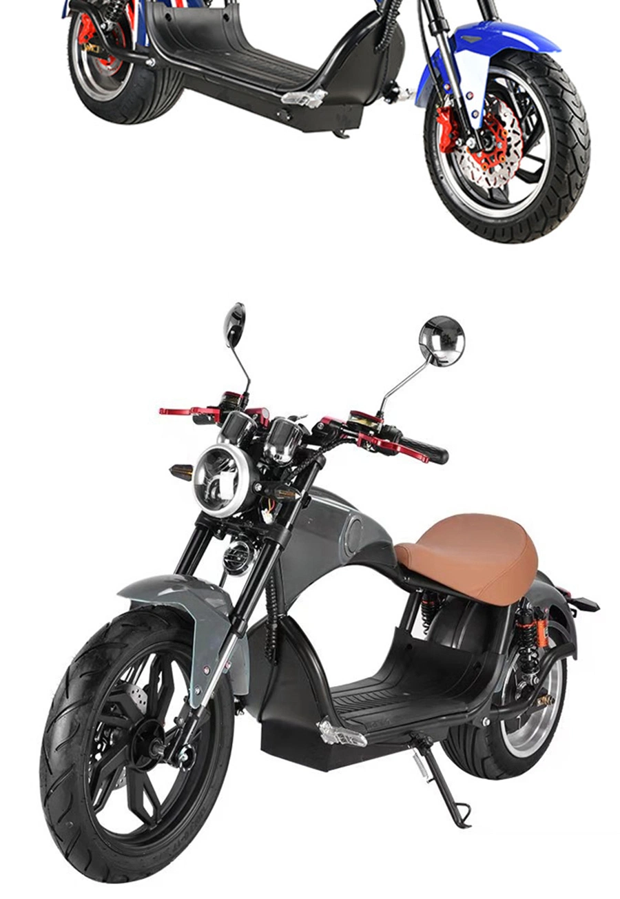 New Trend 1500W Powerful Fat Tire 2 Wheels Fast Electric Ebike Adult Electric Motorcycle Scooter 2000W Electric Citycoco