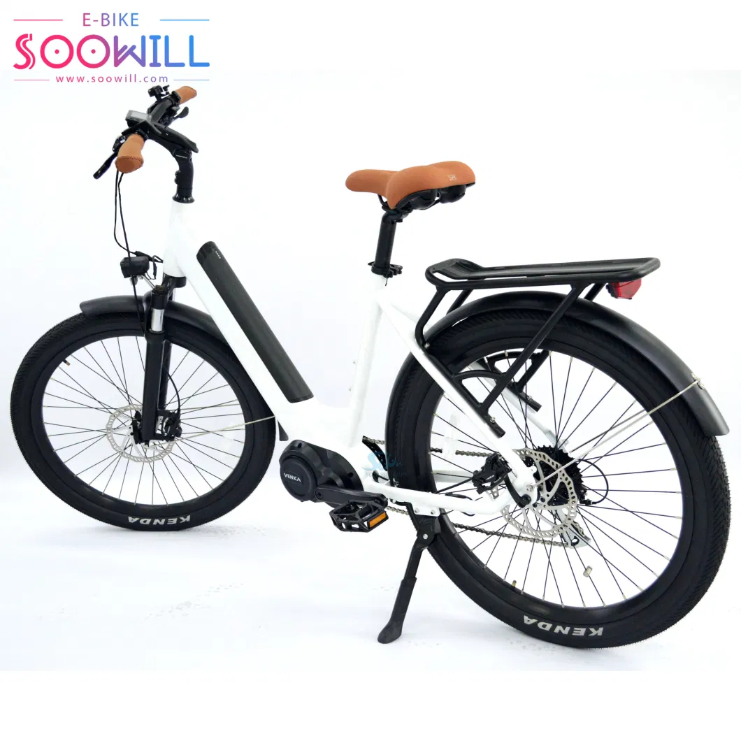 250W Two-Wheel Scooter Womens Drive Electric Bike Wholesale Suspension Front Fork with Customized Logo Ebike