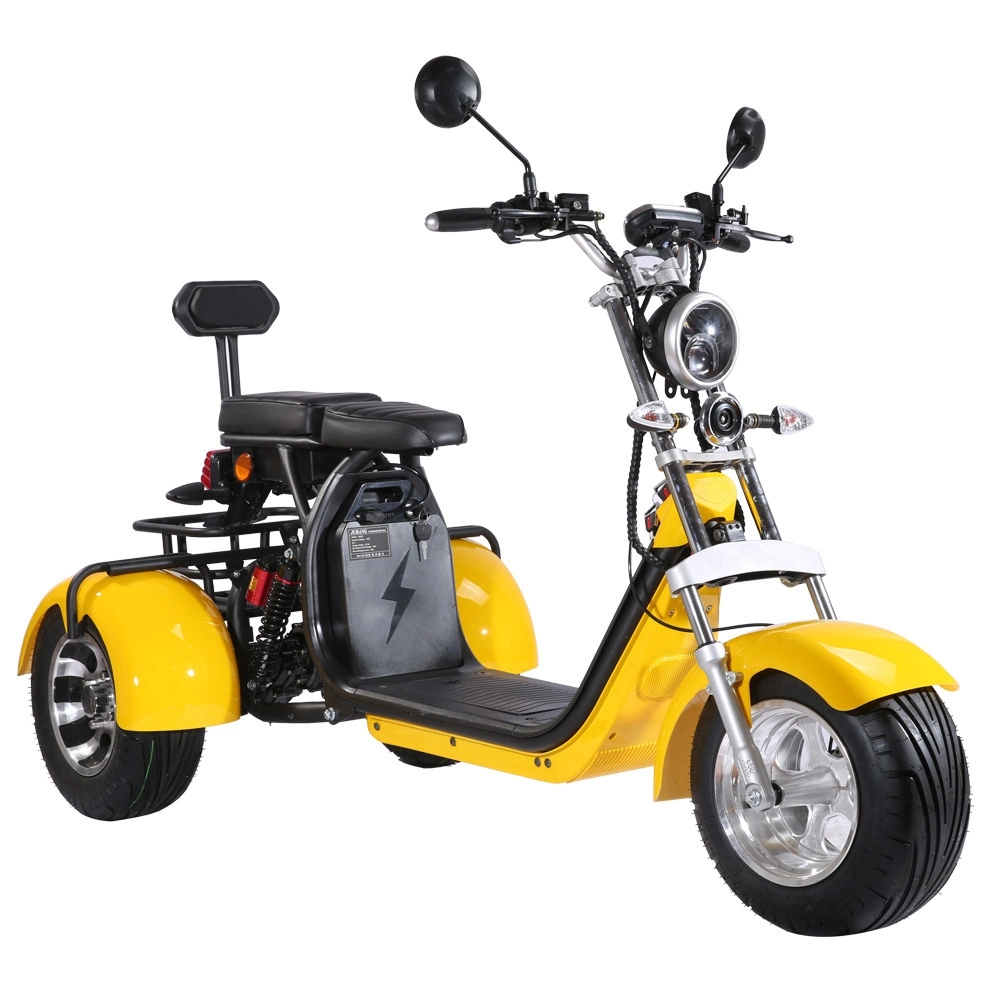 2000W 3 Wheel Electric Motorcycles Adult EEC Coc Three-Wheeled Electric Scooter