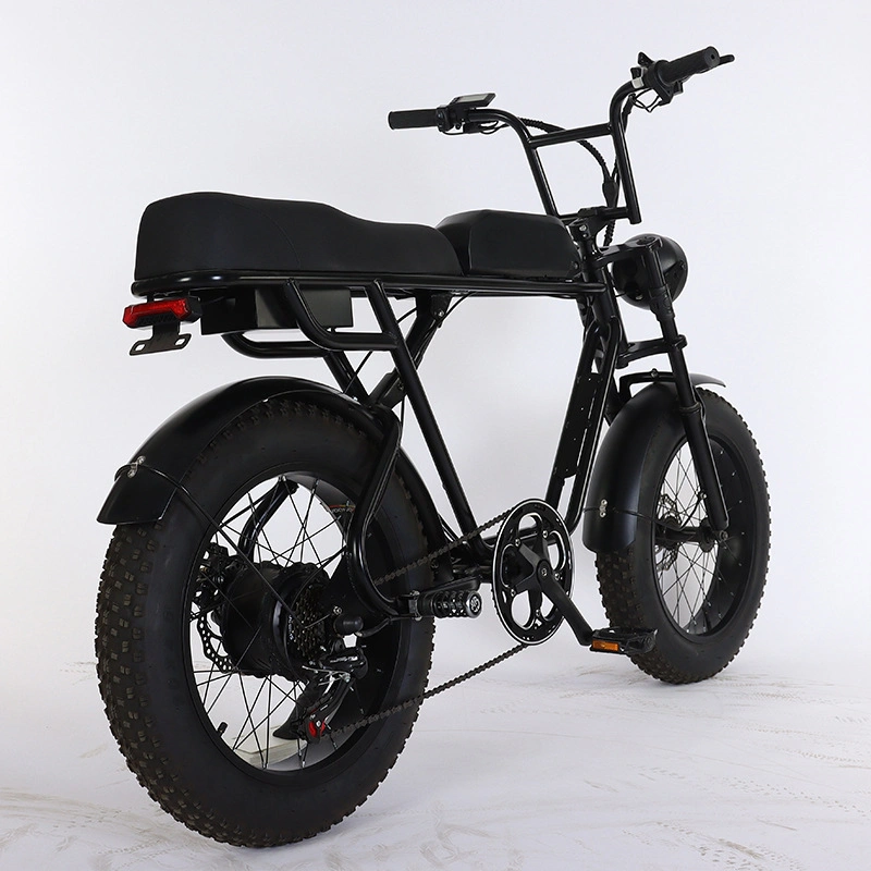 Bicycle for Adult Engine Motor Adults Delivery Wheel Mountain 48V Importer Fat Tire 500W Electric Bike