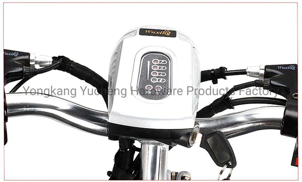Us 500W Motor Scooter Bike Top Powerful High Quality 3 Wheel Tricycle Electric Scooters for Elderly for Adult