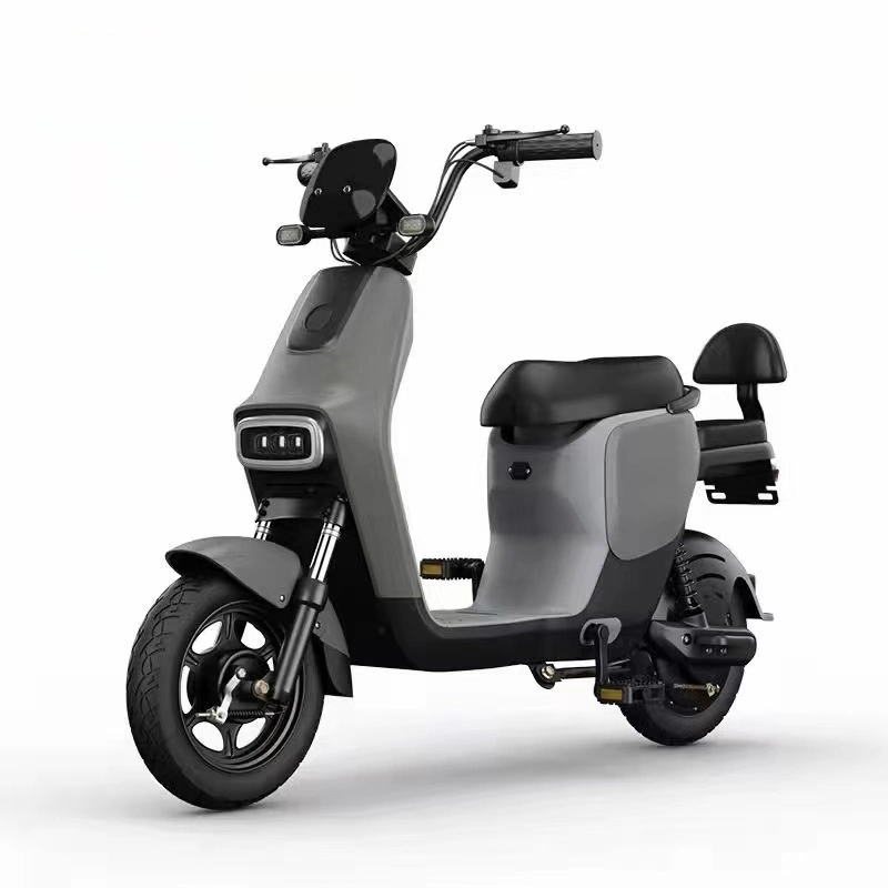 Tjhm-010dd Electric Vehicle 48V Bicycle Adult Male and Female Battery Car with Pedal Can Be Labeled E-Scooters E-Bike for Adult