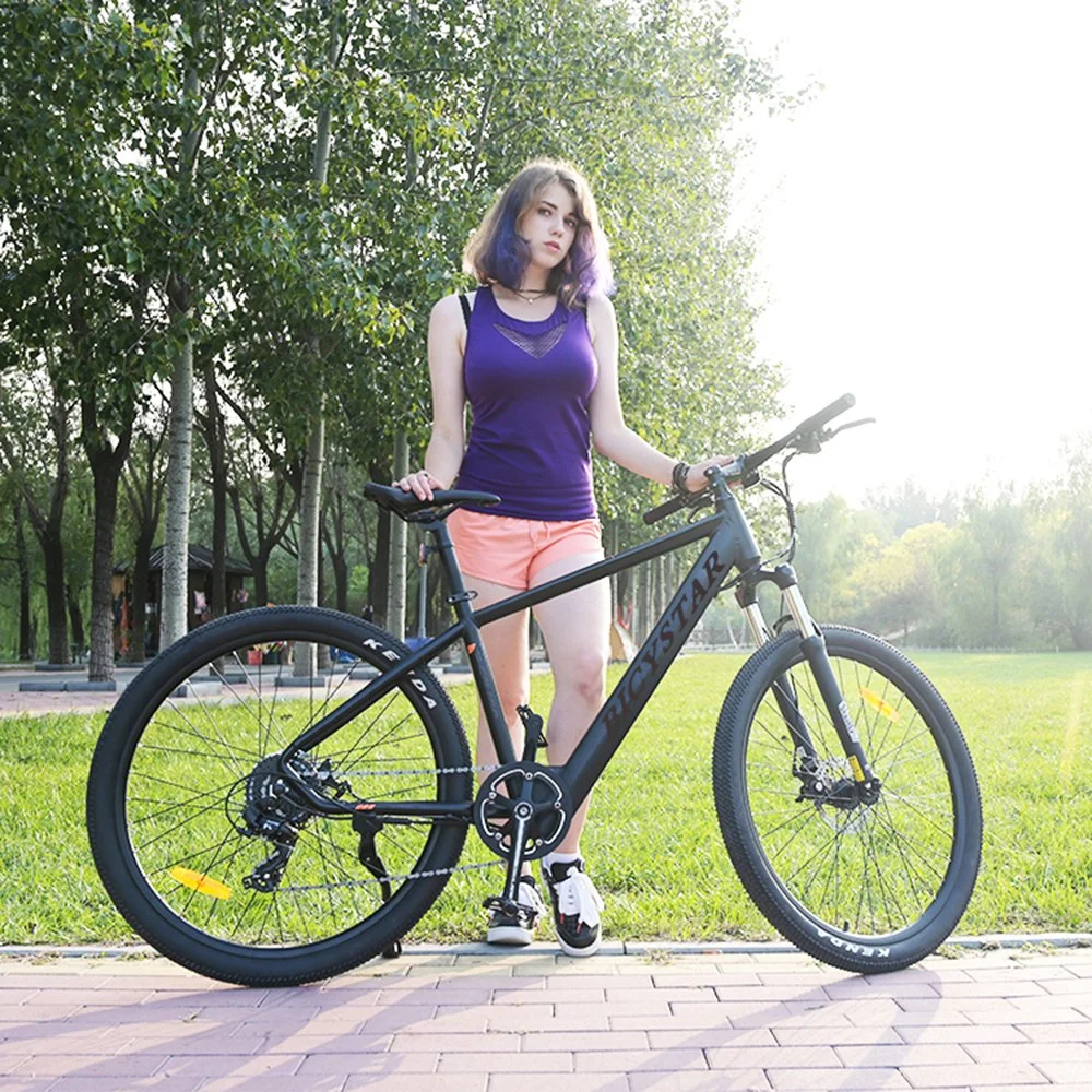 China Chinese Cheapest Sport 1000W 250cc Bisicleta Electrica Electric Bike Bicycle