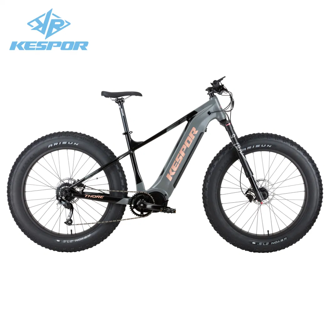 Factory Wholesale 52V 1000W Fat Tire Snow/Dirt Electric Bike Bicycle