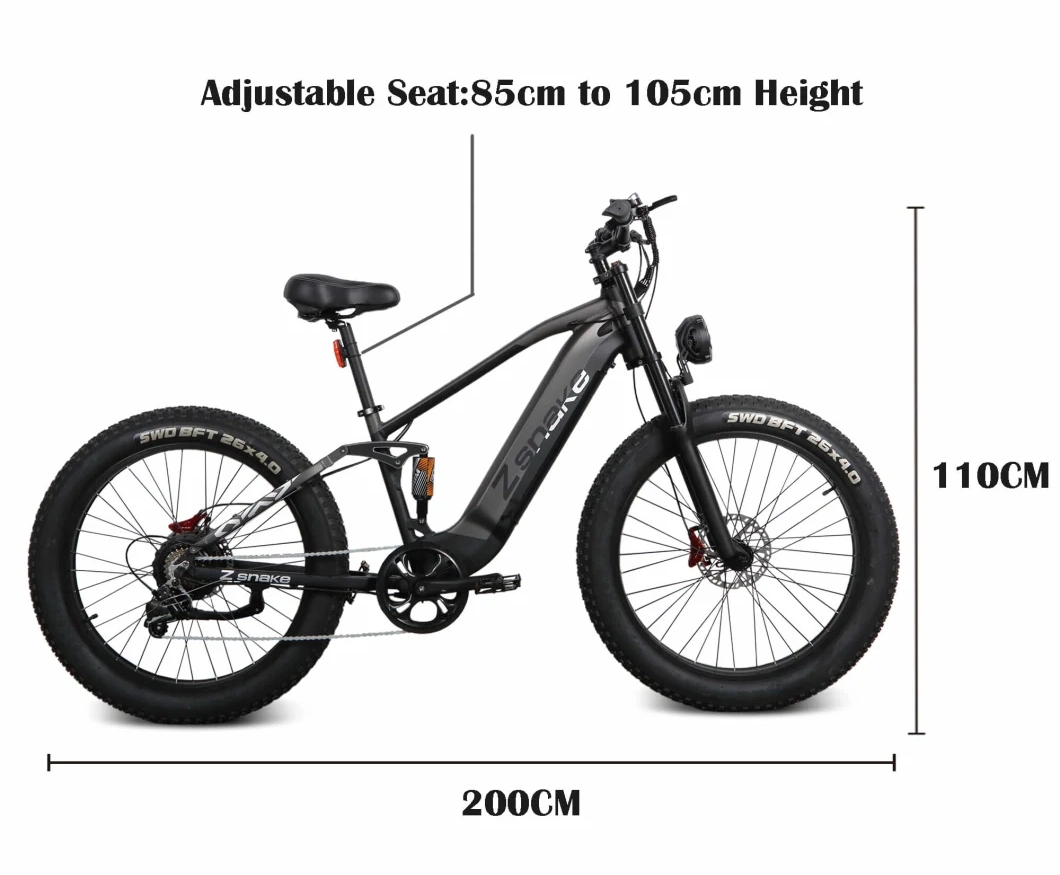 750W 48V 20ah Lithium Battery Electric Bike Durable High Quality Safety Electric Adult Dirt Bicycle