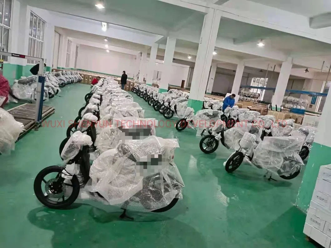 The Most Popular Long Seat Electric Mobility Scooter Motorbike Bike From Wuxi Shenyun