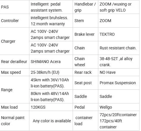 Fat Tyre Electric Ebike 48V 1000W Fast Delivery Bafang Motor 26*4.0 E Bicycle Snow Bike