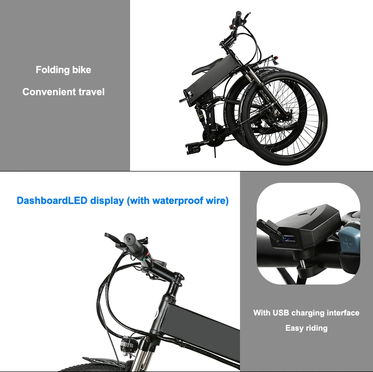 Hot Sale Aluminum Alloy Brushless Ebike Mini Folding Electric Adult Dirt E Bike