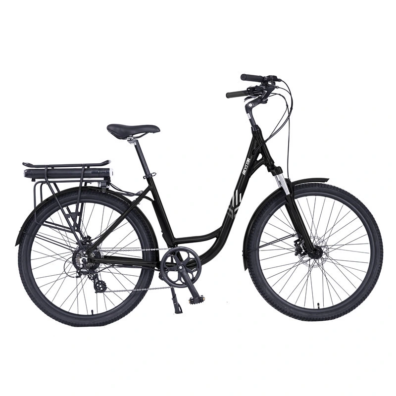 Electric Bike Electric Beach Cruiser Bicycle Electric Electric Bicycle 350W 1000W MID Drive 750W Bicycle