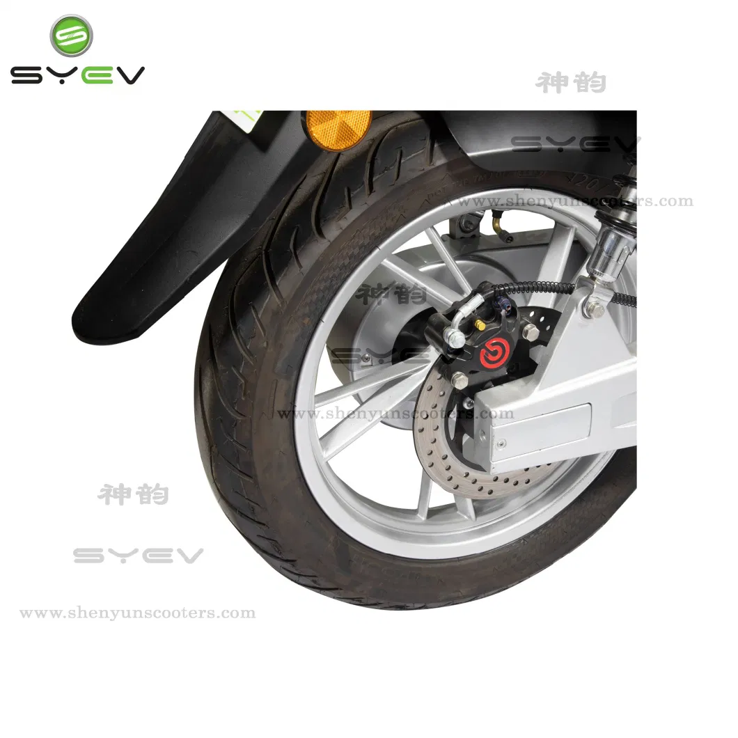 High Speed 80km/H Electric Motorcycle with 3000W Central Motor