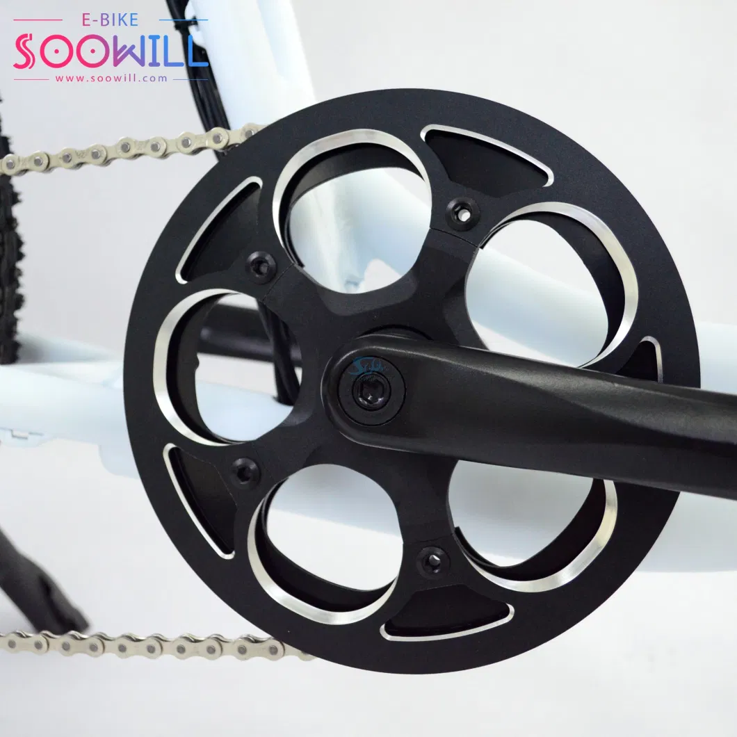 Soowill 20 Inch Battery Moter Cycle for Women Electric City Bike Ebike