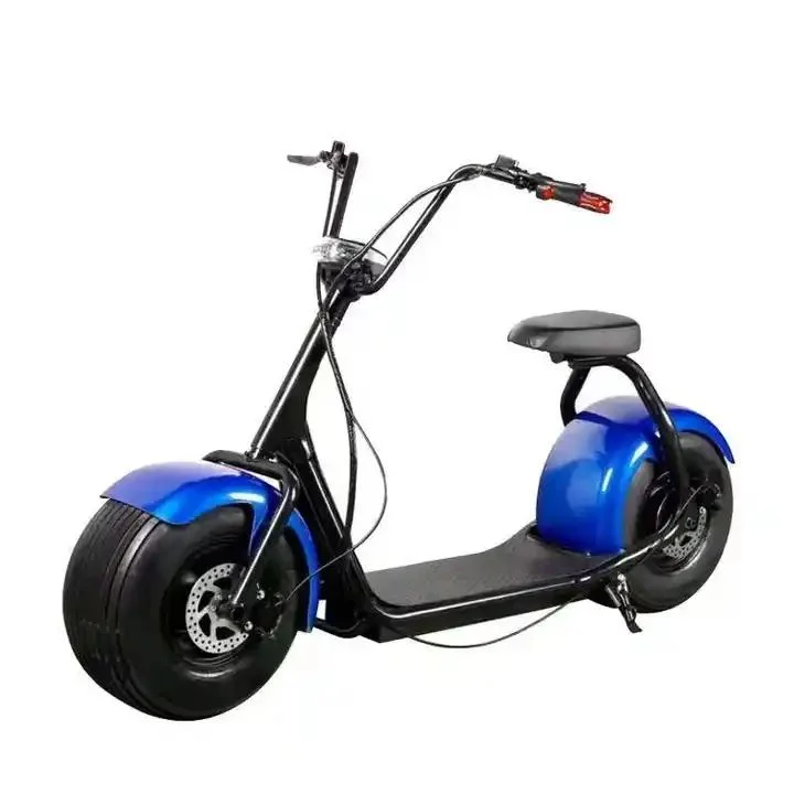 Hot Sale Electric Scooter 48/60V 20ah 2 Seats E Bike Electric Bicycle