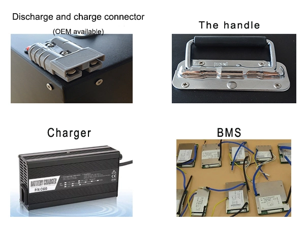 Lithium Ion Battery 36V 20ah Silver Fish Electric Bicycle Bike Battery with BMS