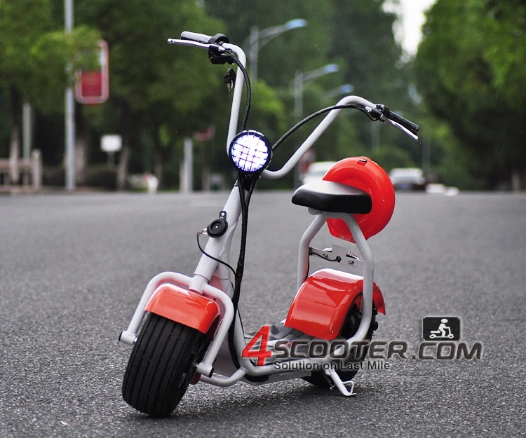 New Type 2 Wheel Electric Scooter 500W 1000W on Sales Promotion 2013 Electric Bicycle