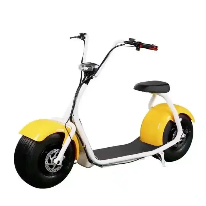 Hot Sale Electric Scooter 48/60V 20ah 2 Seats E Bike Electric Bicycle