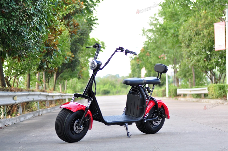 Powerful High Speed Practical Delivery 2 Wheel Bicycle Citycoco Moped Electric Scooter