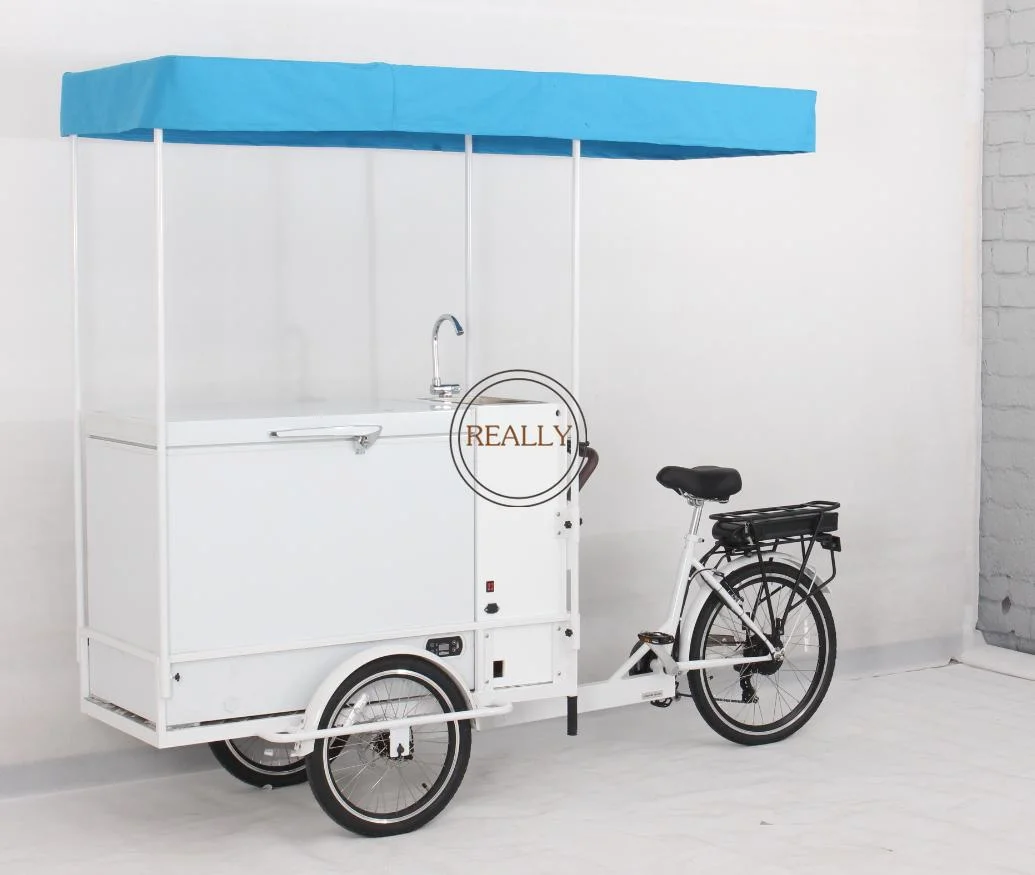 Stylish Mobile Ice Cream Bike with Sink Cold Water Truck Street Stall Food Electric Tricycle