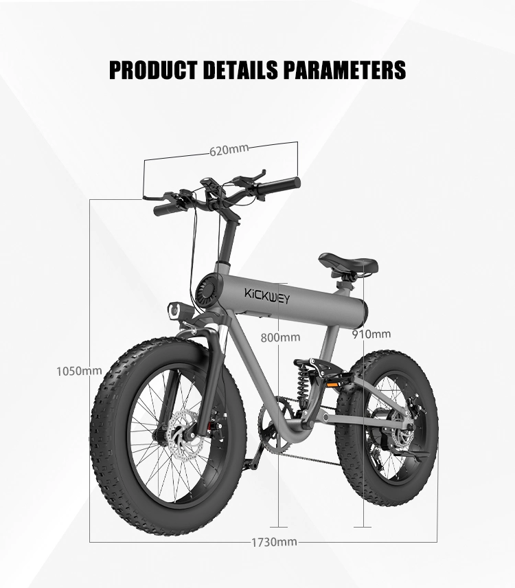 Urban Commuting Electric Bikes for Adults